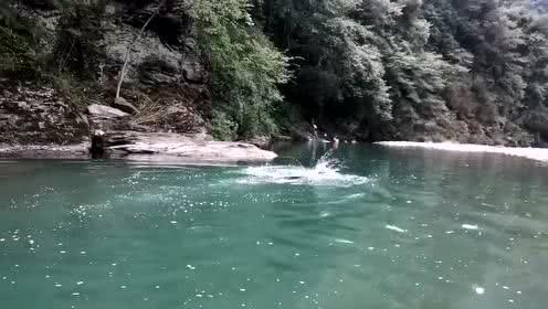 蜂王救援